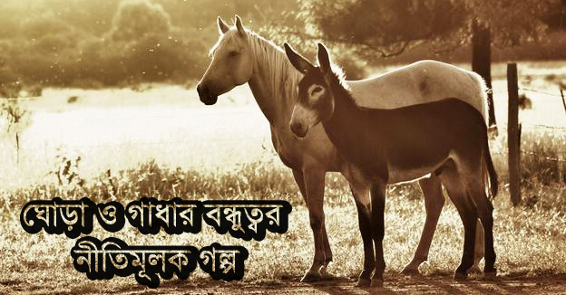 ঘোড়া আর গাধার বন্ধুত্বর নীতিমূলক গল্প - Bangla24.Top