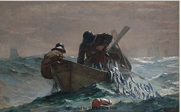 শিক্ষামূলক গল্প: নীল ও কচ্ছপের বন্ধুত্ব - Bangla24.Top