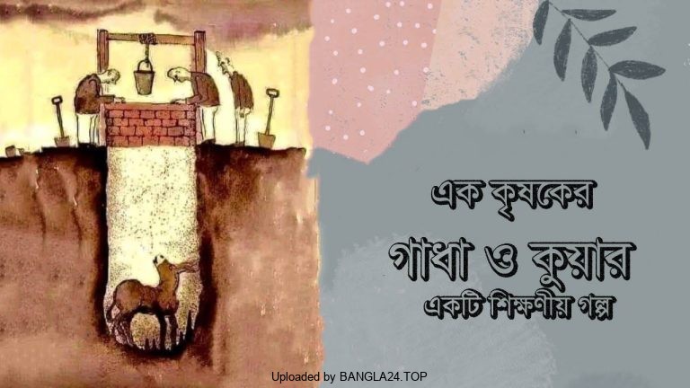 এক কৃষকের গাধা ও কুয়ার একটি শিক্ষণীয় গল্প - Bangla24.Top