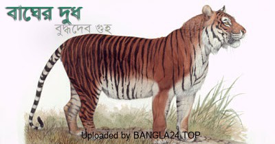 বাঘের দুধ – বুদ্ধদেব গুহ - Bangla24.Top