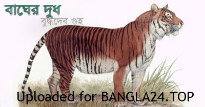 বাঘের দুধ – বুদ্ধদেব গুহ - Bangla24.Top
