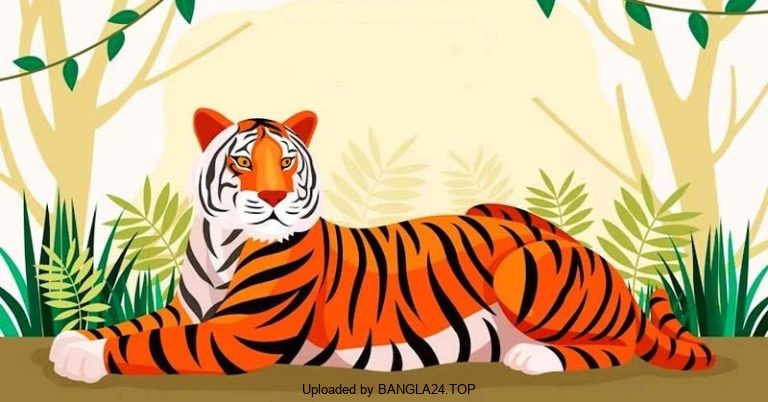 বোকা বাঘ - Bangla24.Top