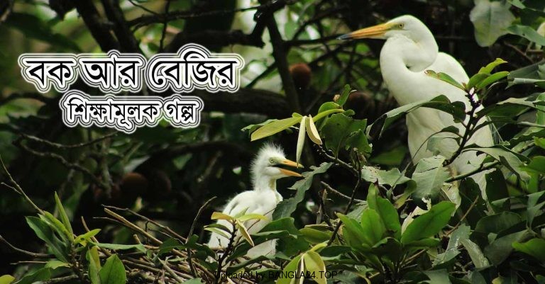 বক আর বেজির শিক্ষামূলক গল্প - Bangla24.Top