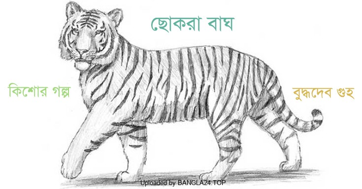 কিশোর গল্প – ছোকরা বাঘ – বুদ্ধদেব গুহ - Bangla24.Top