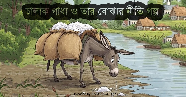 চালাক গাধা ও তার বোঝার নীতি গল্প - Bangla24.Top