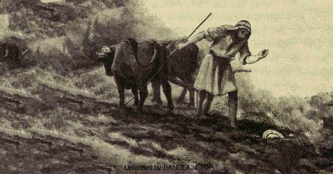 শিক্ষামূলক গল্প – লোভী কৃষক - Bangla24.Top