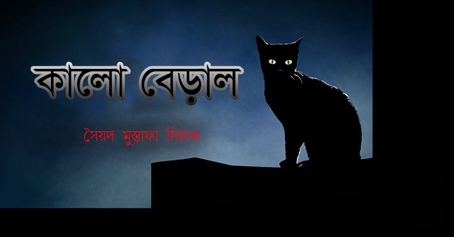 কালো বেড়াল – সৈয়দ মুস্তাফা সিরাজ - Bangla24.Top