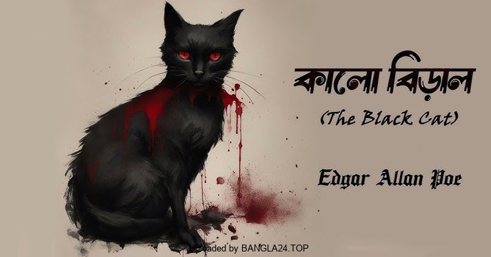 ভূতের গল্প – কালো বিড়াল – এডগার অ্যালান পো - Bangla24.Top