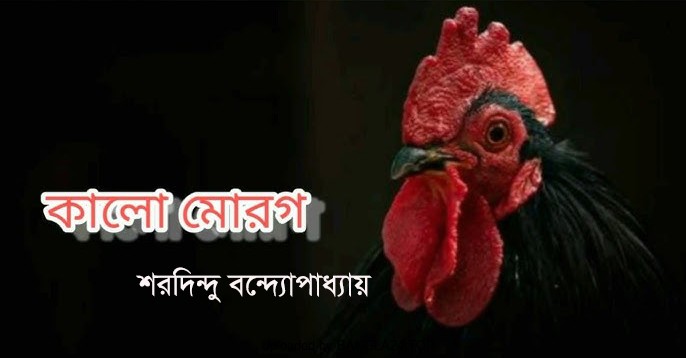 কালো মোরগ – শরদিন্দু বন্দ্যোপাধ্যায় - Bangla24.Top