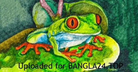 কুনো ব্যাঙ আর গুপ্তধনের গল্প - Bangla24.Top