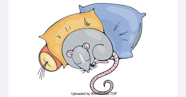 শিক্ষামূলক ছোট গল্প – মূর্খ যখন বিত্তবান হয় - Bangla24.Top