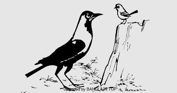 অচ্ছুৎ – জসীম উদ্দীন - Bangla24.Top