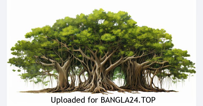 প্রকাণ্ড বৃক্ষ ও হলদি গাছের শিক্ষামূলক গল্প - Bangla24.Top