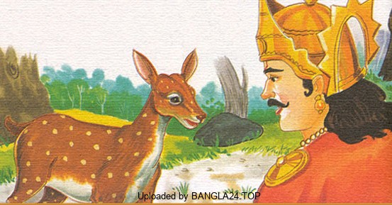 গল্প: রাজা ও হরিণের প্রেম - Bangla24.Top
