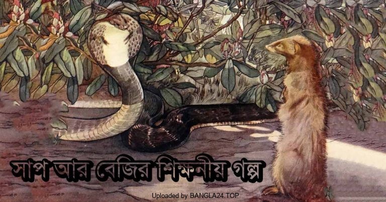 সাপ আর বেজির শিক্ষনীয় গল্প - Bangla24.Top