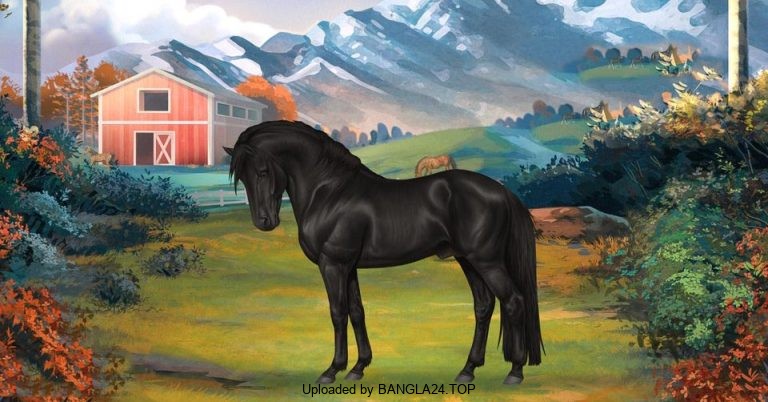 শিক্ষামূলক গল্প: শখের ঘোড়া - Bangla24.Top