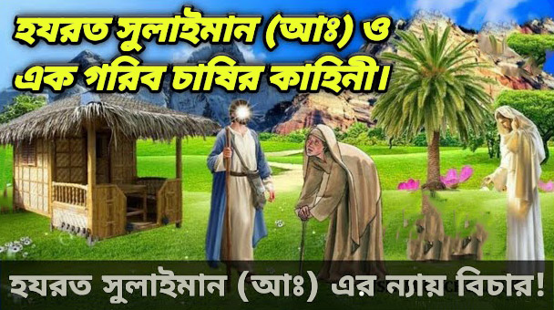 হযরত সুলাইমান (আঃ) ও এক গরিব চাষীর আশ্চর্যজনক ঘটনা - Bangla24.Top