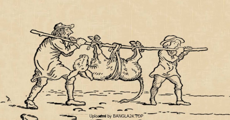 বাবা ছেলে ও তাদের গাধার একটি শিক্ষণীয় গল্প - Bangla24.Top