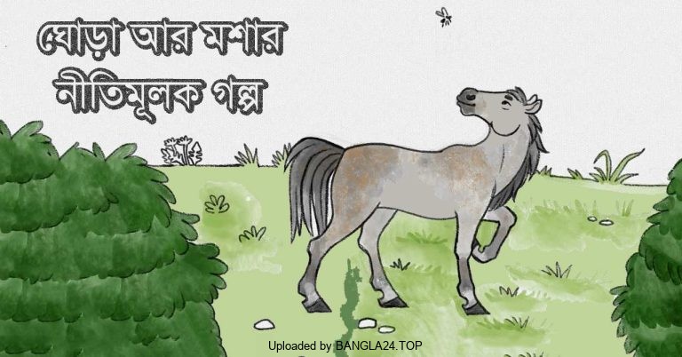 ঘোড়া আর মশার নীতিমূলক গল্প - Bangla24.Top
