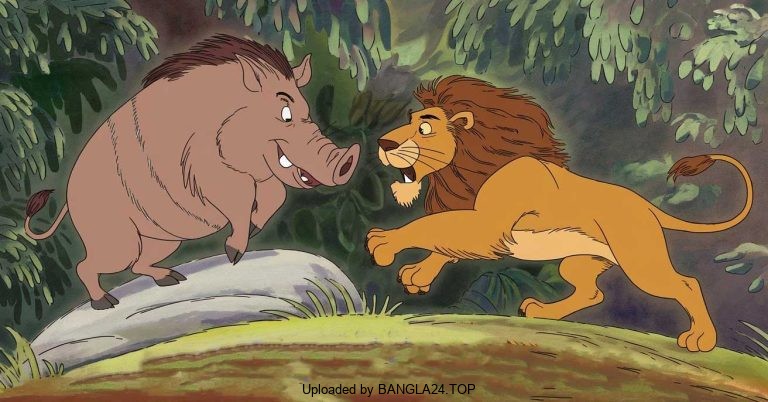 শিক্ষামূলক গল্প – শকুনি; সিংহ ও শূকর - Bangla24.Top