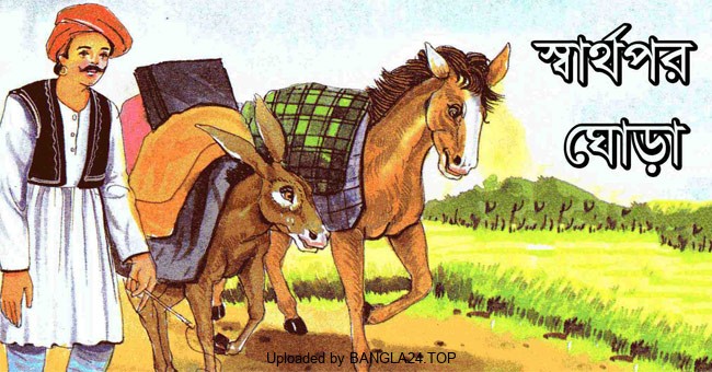 স্বার্থপর ঘোড়া এবং তার পরিণতির নীতিমূলক গল্প - Bangla24.Top