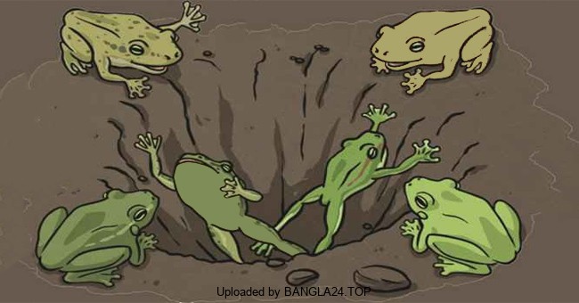 গর্তে পড়ে যাওয়া দুই ব্যাঙের শিক্ষনীয় গল্প - Bangla24.Top