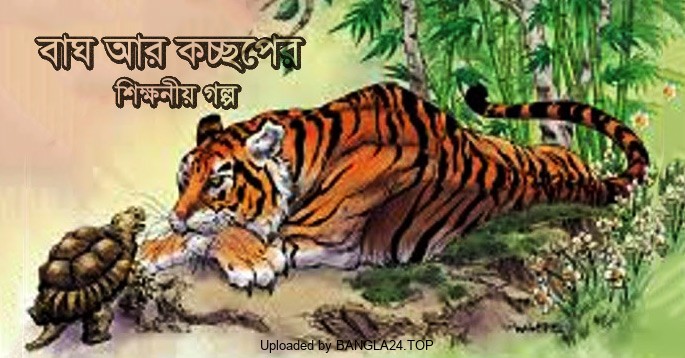 বাঘ আর চালাক কচ্ছপের শিক্ষনীয় ছোট গল্প - Bangla24.Top